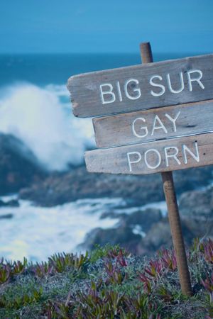 Big Sur Gay Porn's poster