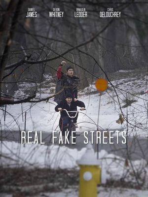 Real Fake Streets's poster