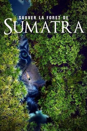 Save the Sumatran Forest's poster