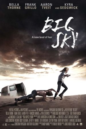 Big Sky's poster