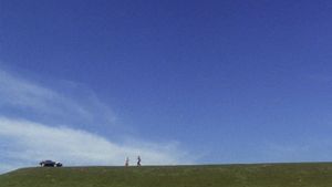Harold and Maude's poster
