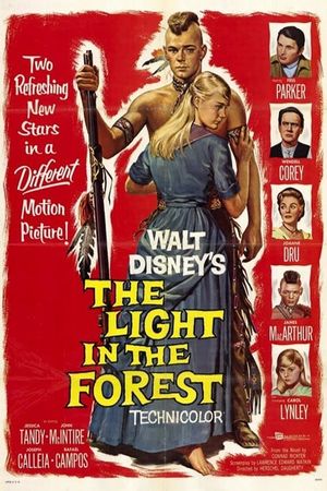 The Light in the Forest's poster