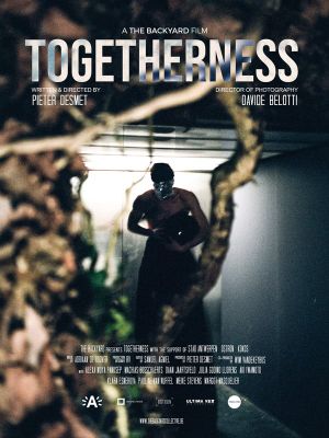 Togetherness's poster