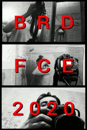 BRDFCE2020's poster