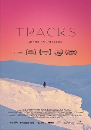 Tracks's poster image