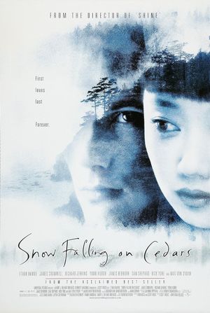 Snow Falling on Cedars's poster