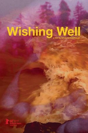 Wishing Well's poster