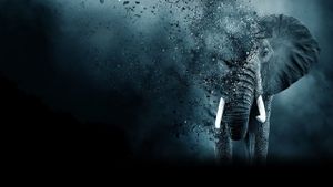 The Ivory Game's poster