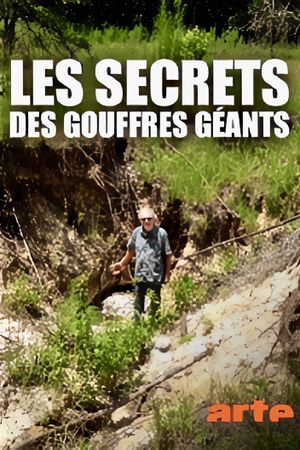 Les secrets des gouffres géants's poster