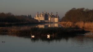 Chambord's poster