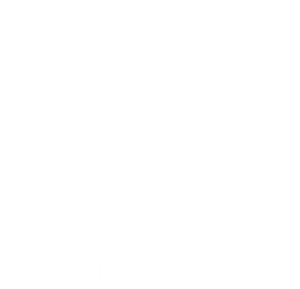 The Monk and the Gun's poster