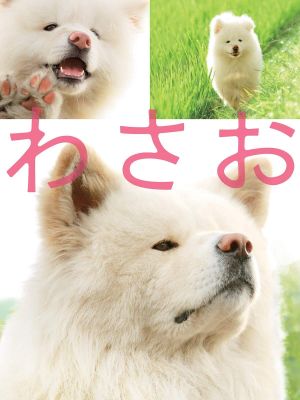 Wasao's poster