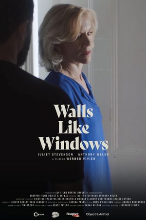 Walls Like Windows's poster
