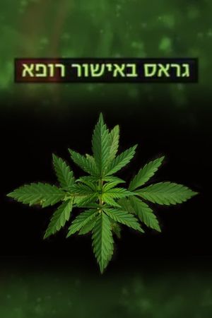 Medical Weed's poster image