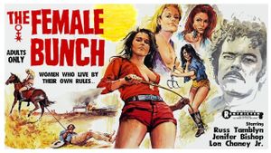 The Female Bunch's poster