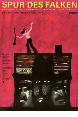 Trail of the Falcon's poster
