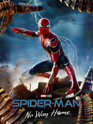 Spider-Man: No Way Home's poster