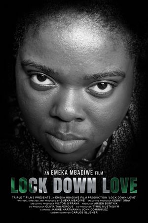 Lock Down Love's poster image