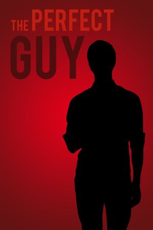 The Perfect Guy's poster