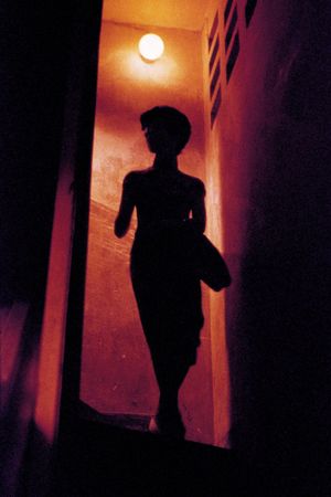 In the Mood for Love's poster