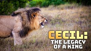 Cecil: The Legacy of a King's poster