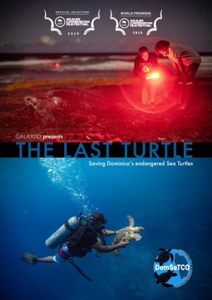 The Last Turtle's poster