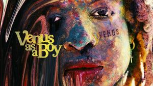 Venus as a Boy's poster
