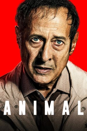 Animal's poster
