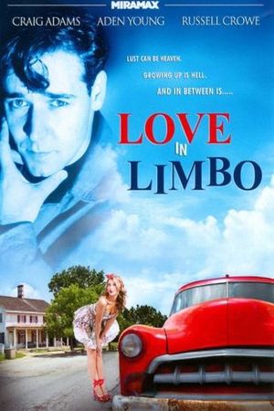 Love in Limbo's poster