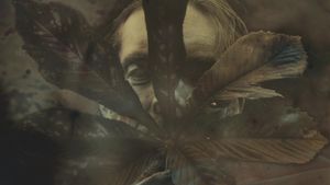 A Patriot of These Woods's poster