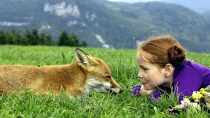 The Fox and the Child's poster