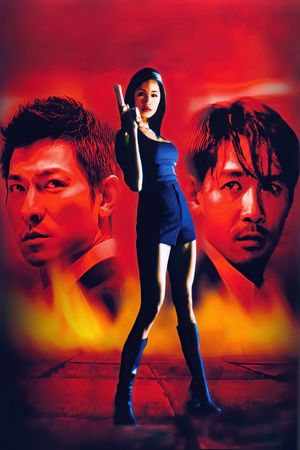 Infernal Affairs's poster
