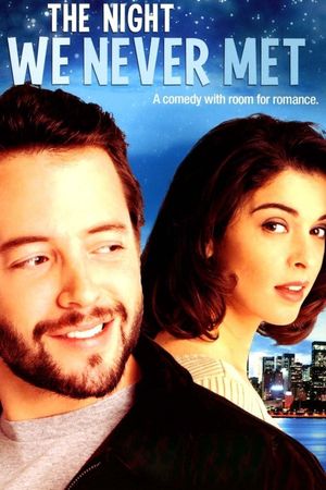The Night We Never Met's poster