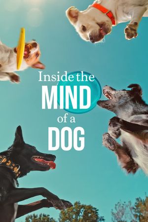 Inside the Mind of a Dog's poster