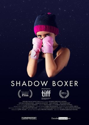 Shadow Boxer's poster