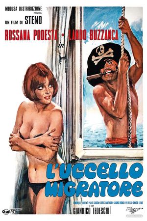 L'uccello migratore's poster