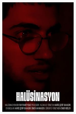 The Hallucination's poster