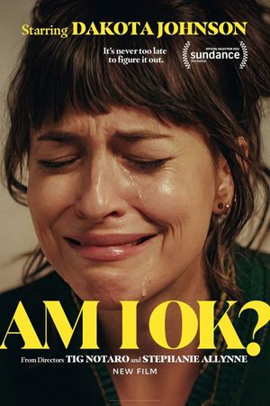 Am I OK?'s poster