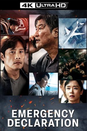 Emergency Declaration's poster