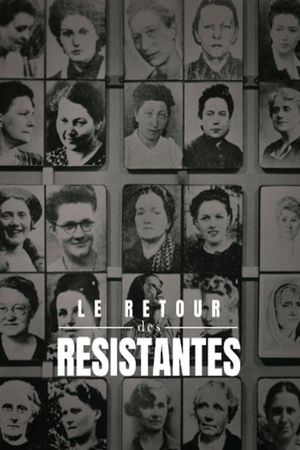 Le retour des resistantes's poster