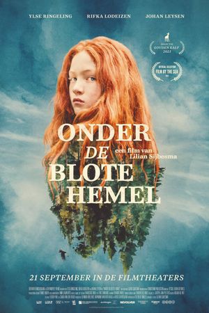 Under the Naked Sky's poster