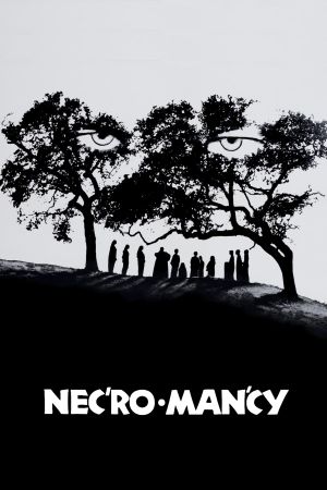 Necromancy's poster