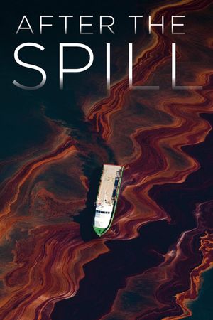 After the Spill's poster image