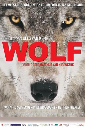 Wolf's poster