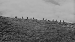 Seven Samurai's poster