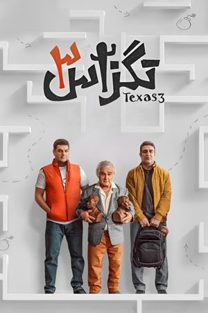 Texas 3's poster