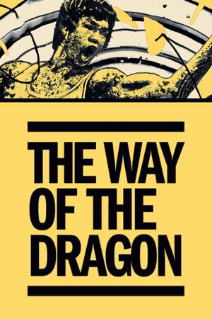 The Way of the Dragon's poster