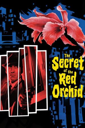 Secret of the Red Orchid's poster
