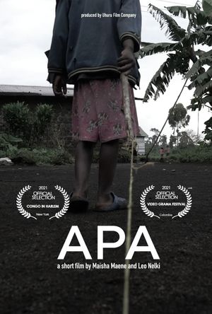 APA's poster
