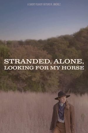 Stranded, Alone, Looking for my Horse's poster image